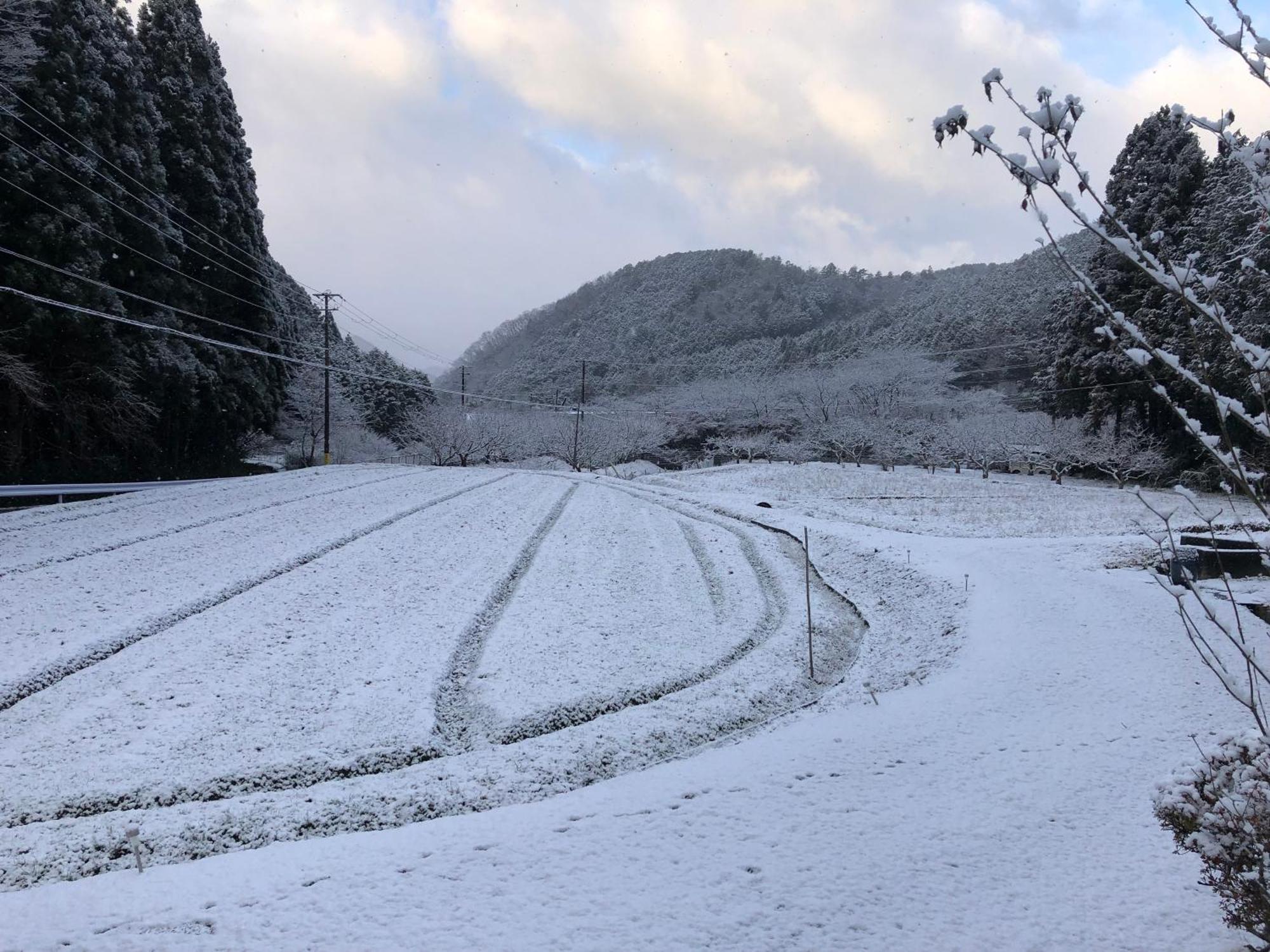 Satoyama Hotel Kanenone Tamba Маибара Екстериор снимка