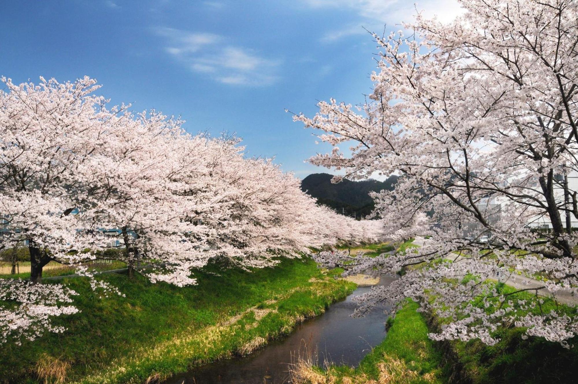 Satoyama Hotel Kanenone Tamba Маибара Екстериор снимка