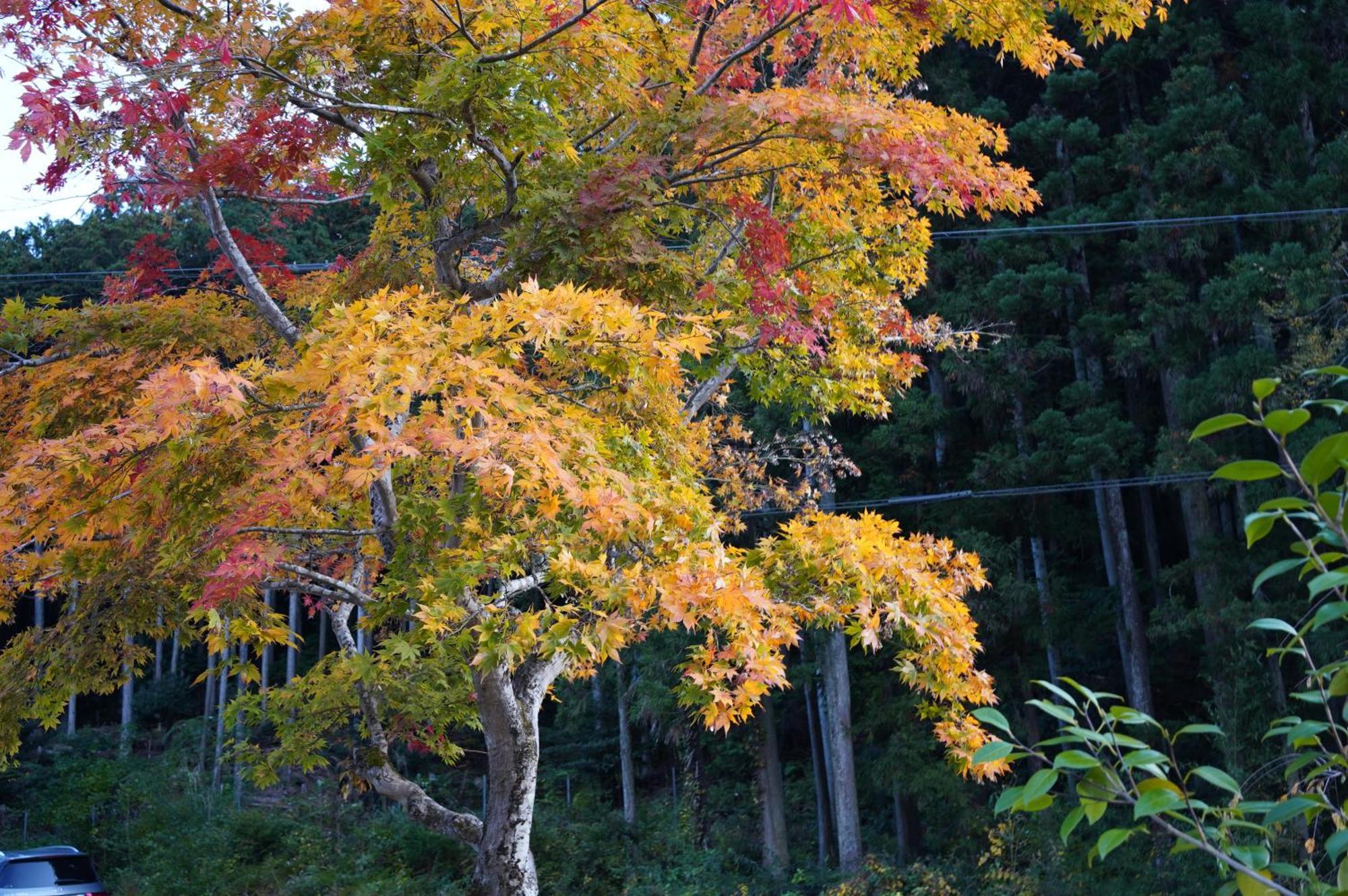 Satoyama Hotel Kanenone Tamba Маибара Екстериор снимка