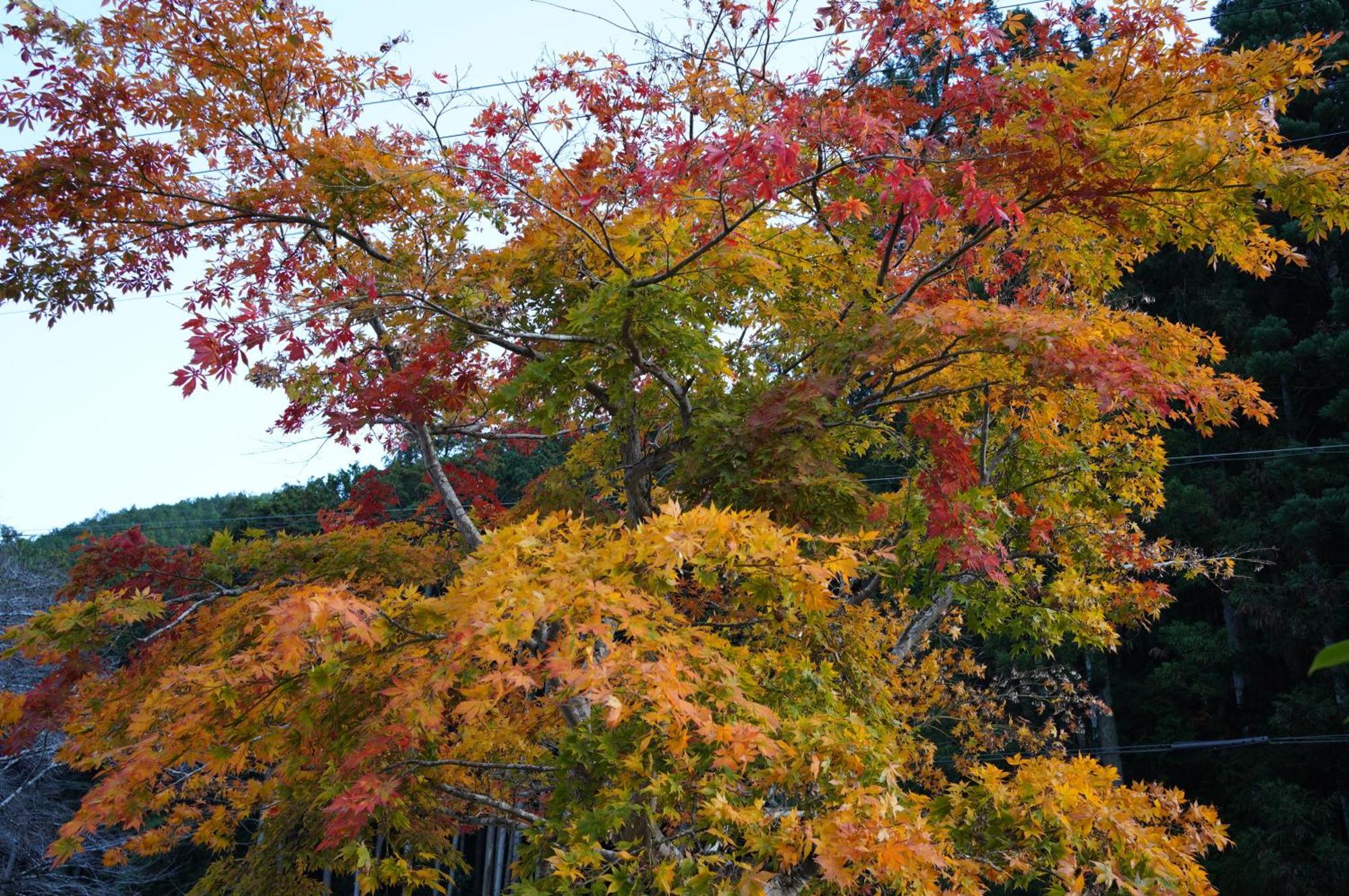 Satoyama Hotel Kanenone Tamba Маибара Екстериор снимка