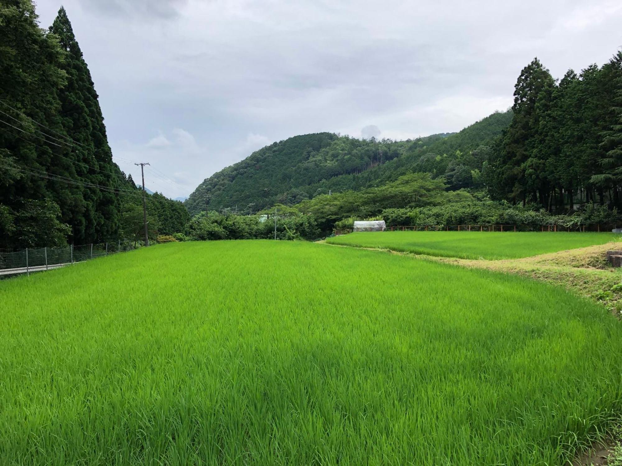 Satoyama Hotel Kanenone Tamba Маибара Екстериор снимка
