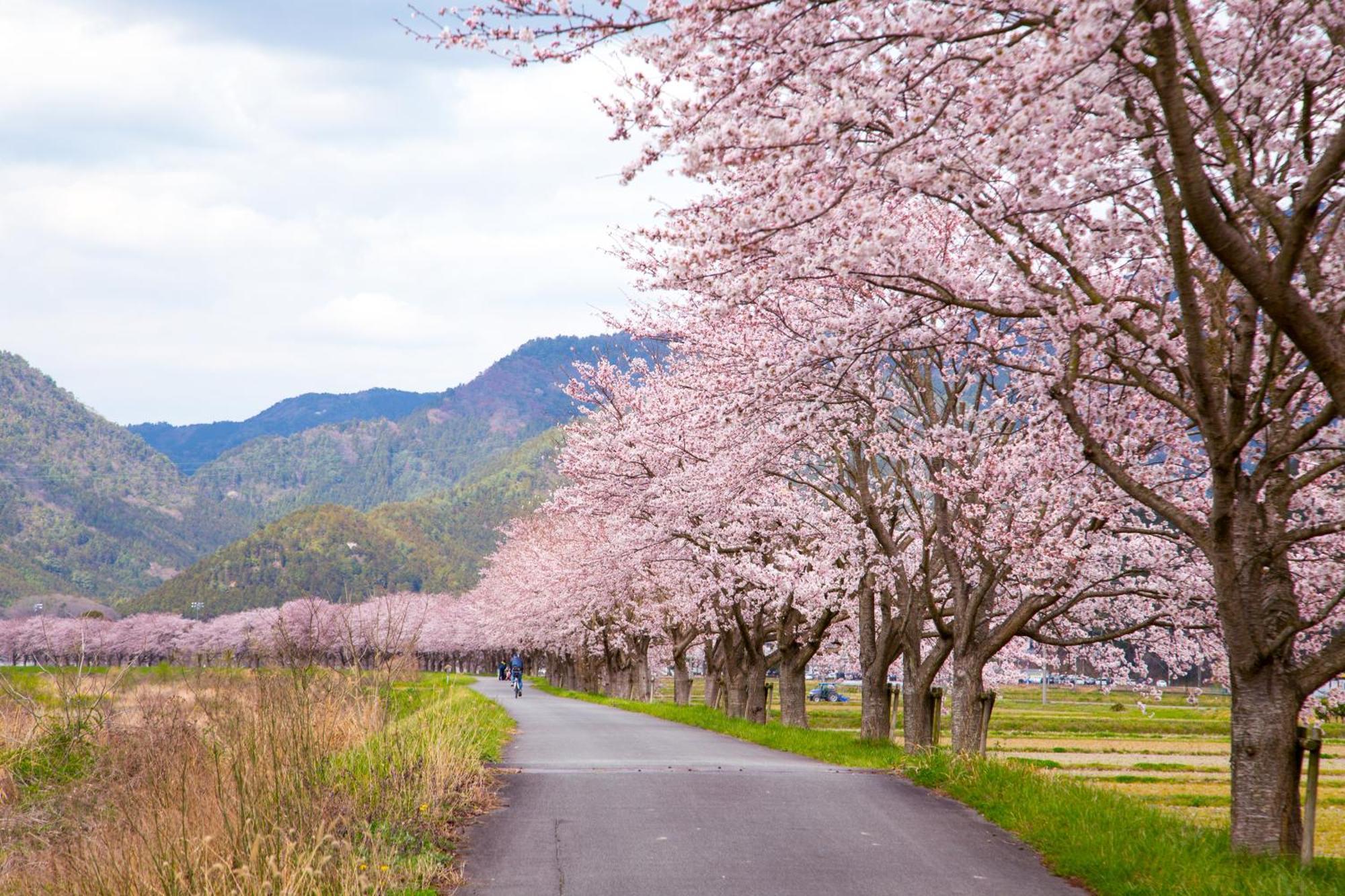 Satoyama Hotel Kanenone Tamba Маибара Екстериор снимка