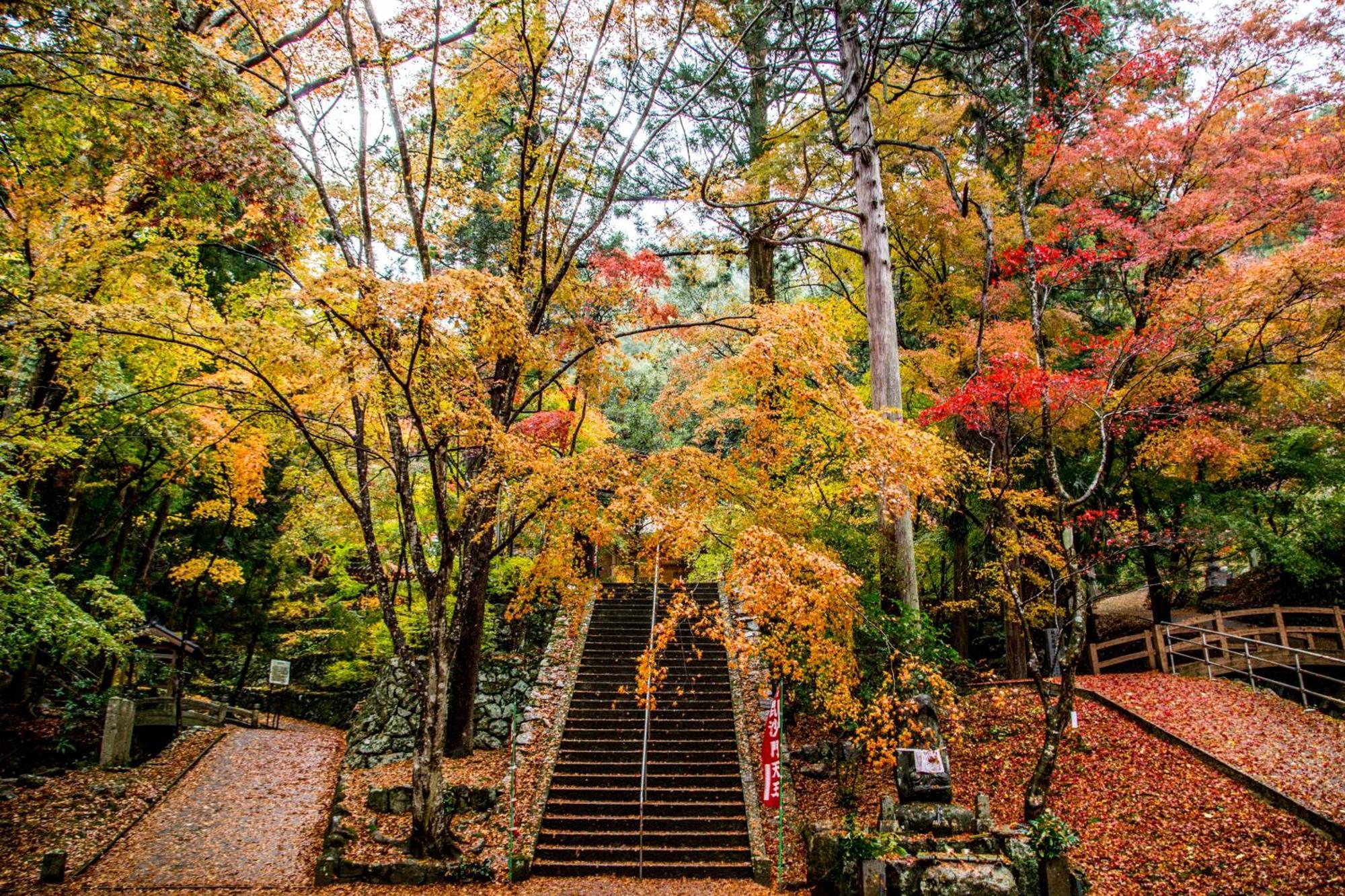 Satoyama Hotel Kanenone Tamba Маибара Екстериор снимка