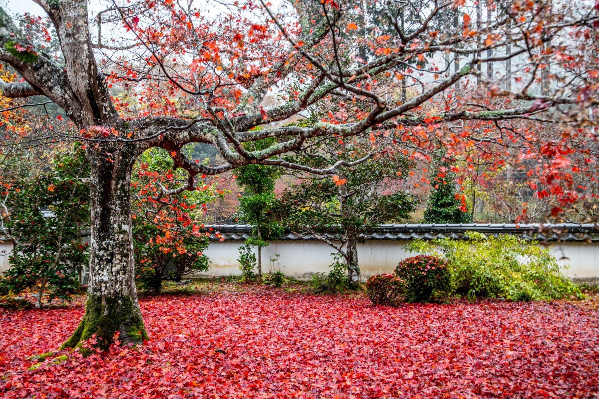 Satoyama Hotel Kanenone Tamba Маибара Екстериор снимка